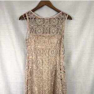 Adrianne Papell Lace Dress Womens Size 10 Rose Pink Wedding Party Event MOB NWT